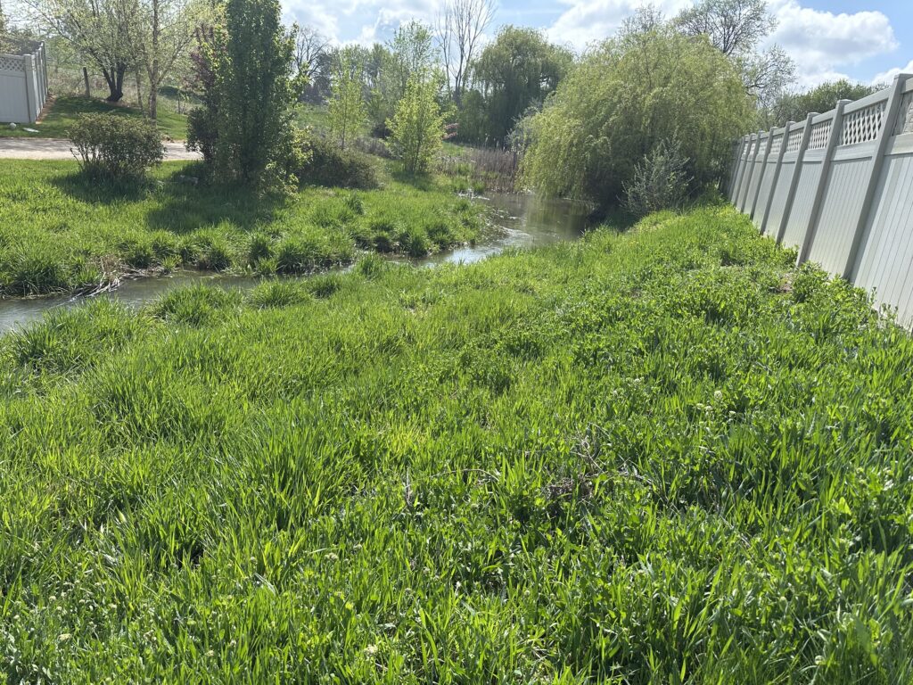 Grassy stream near white fence and trees.