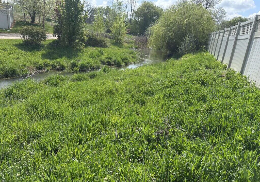 Grassy stream near white fence and trees.